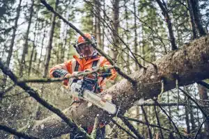 Husqvarna Chainsaw at TNS
