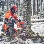 Husqvarna 560 XP® G Mark II Chainsaw Forest