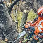 Husqvarna 560 XP® G Mark II Chainsaw Professional