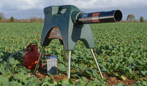 Protect Your Harvest with Portek Bird Scarers