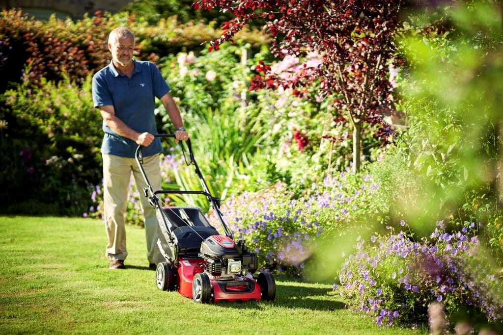 Mountfield lawn mowers for sale