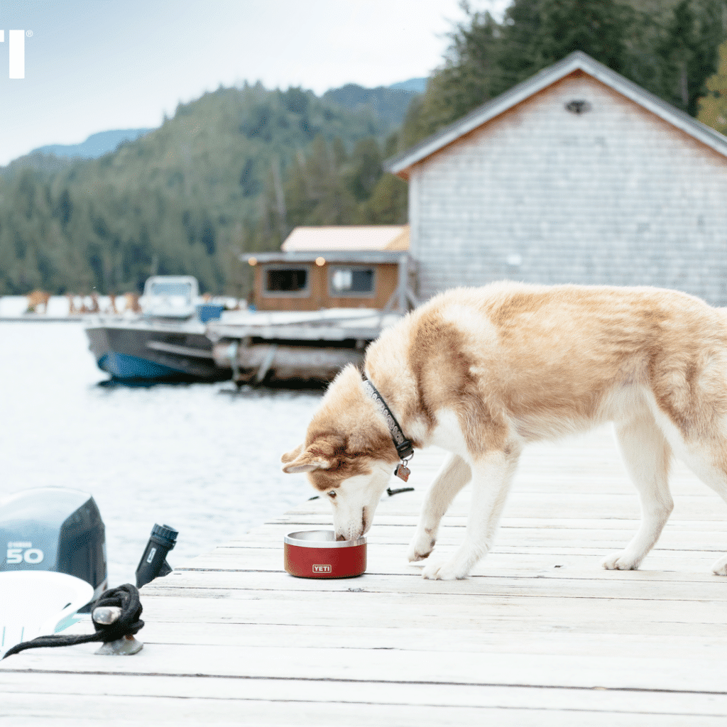 Shop Yeti Dog Bowls