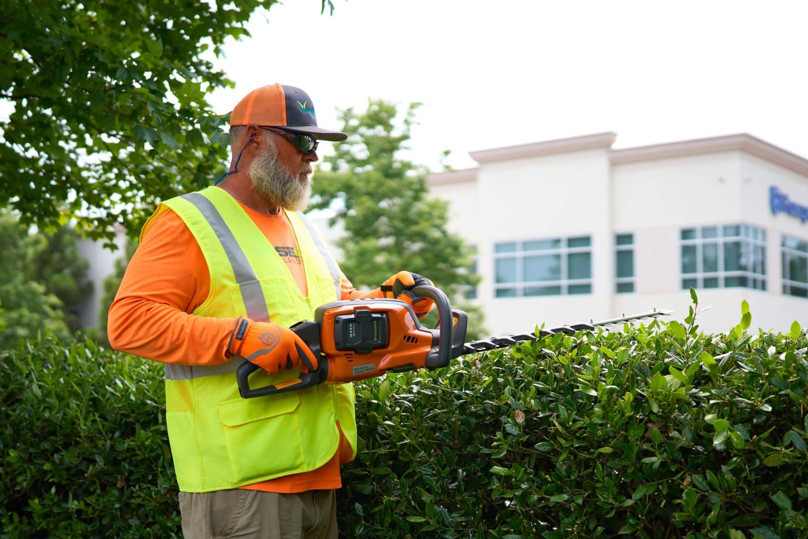 Hedge Trimmer Sales, Servicing and Repairs Across East Anglia