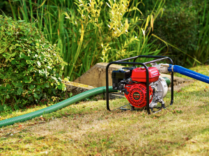 Honda water pumps for sale at TBNS