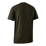 low_D_P_B_8074-393