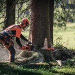 Husqvarna 572 XP Chainsaw Forestry