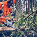 Husqvarna Professional 562 XP® Mark II 60cc Chainsaw