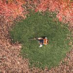 Stihl BRA 600 Powerful Cordless Backpack Blower