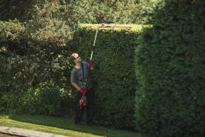 Cramer Optimus Hedge Trimmers