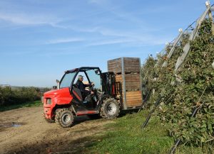 New Manitou Mast Forklifts for sale at TNS